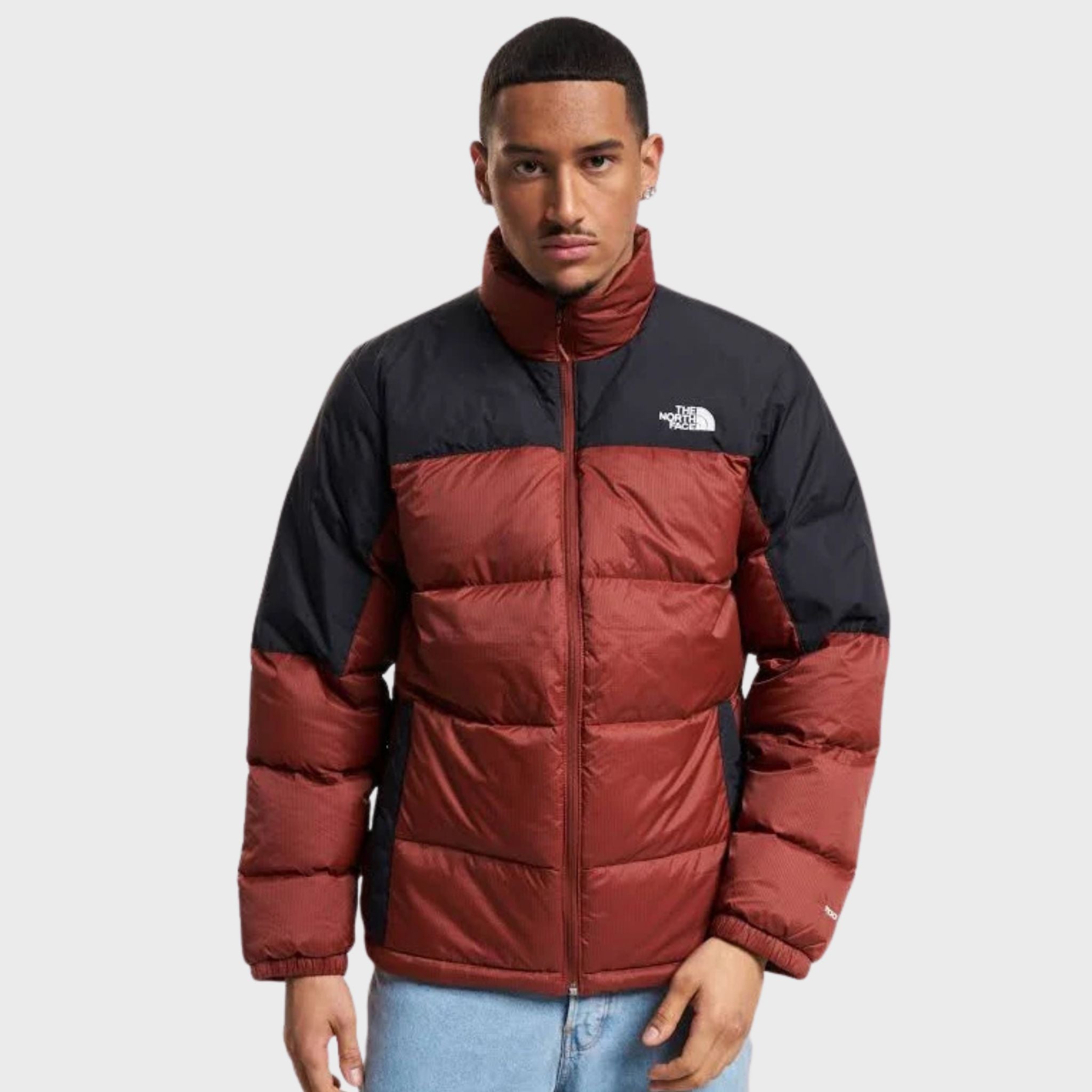 GIUBBINO Mattone The North Face