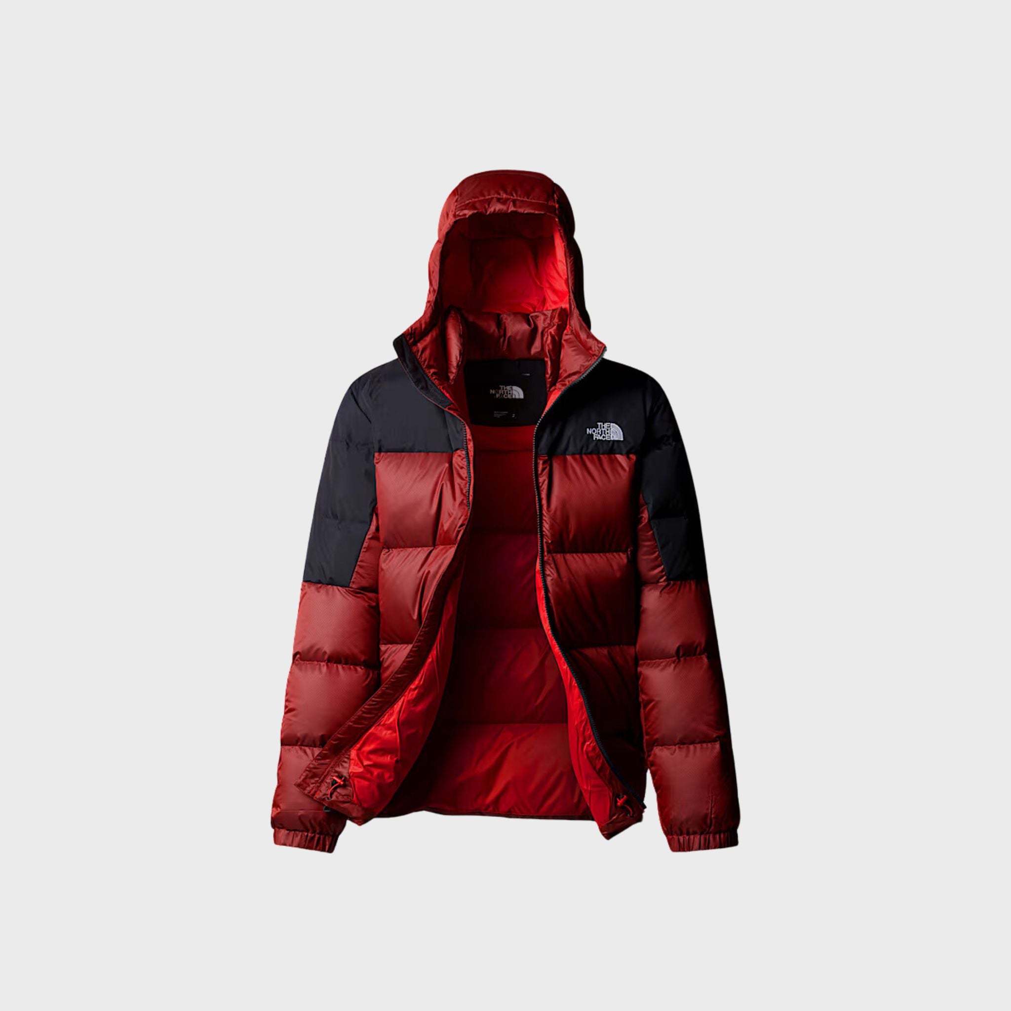 GIUBBINO Bordeaux The North Face