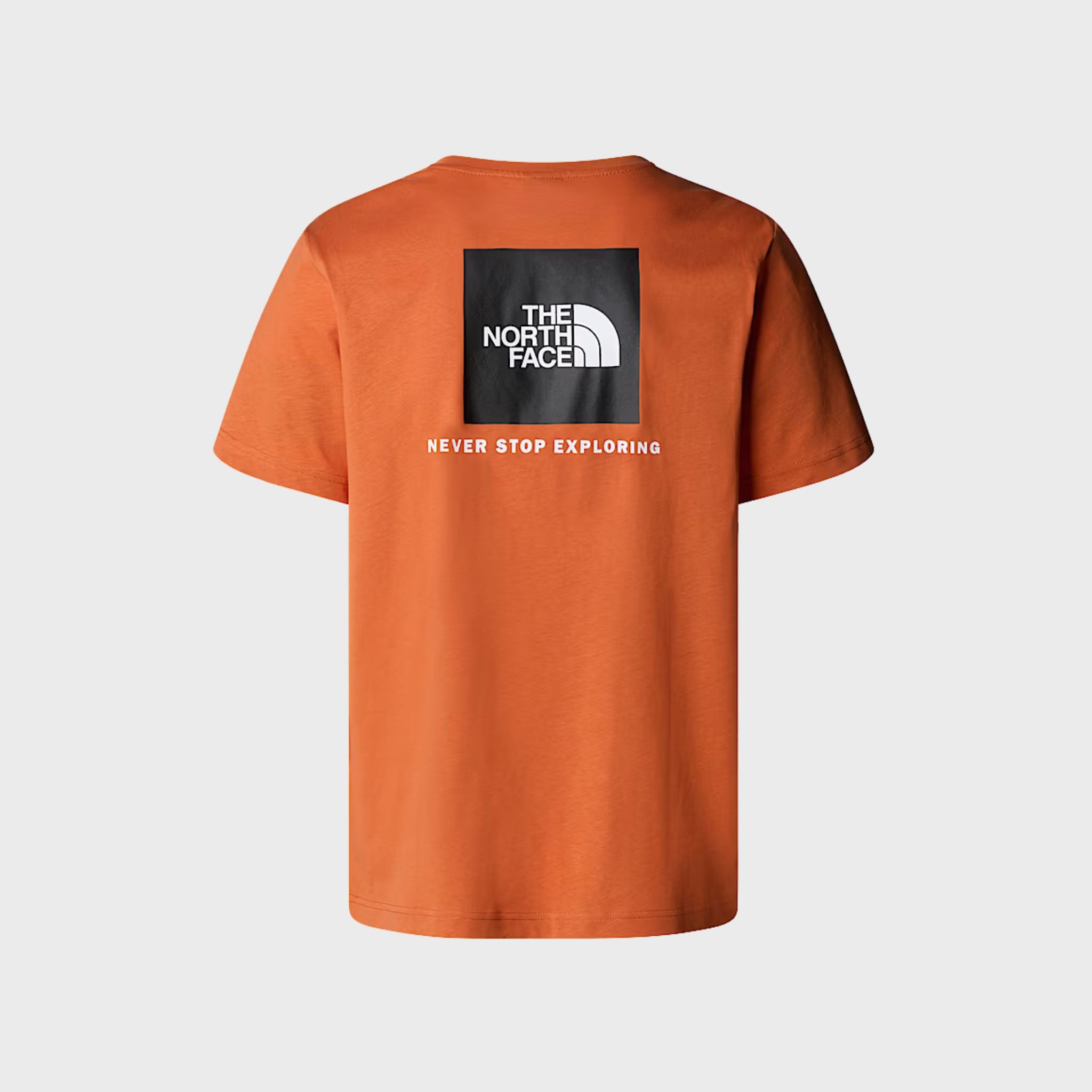 T-SHIRT Bronzo The North Face