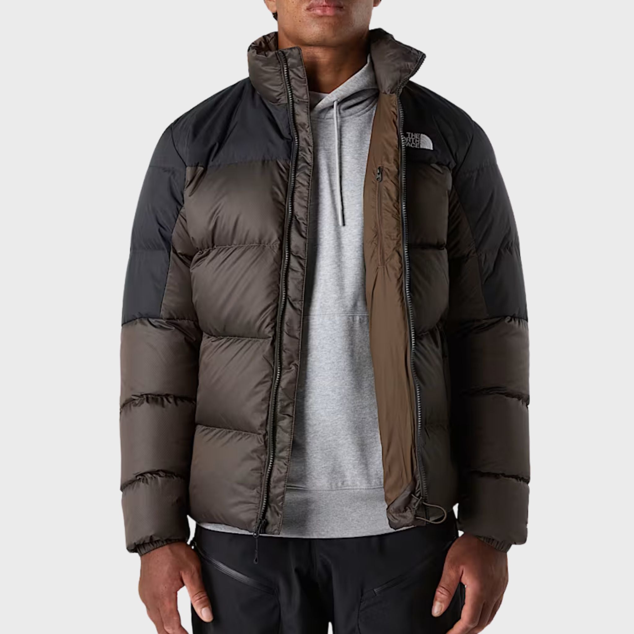 GIUBBINO Marrone The North Face