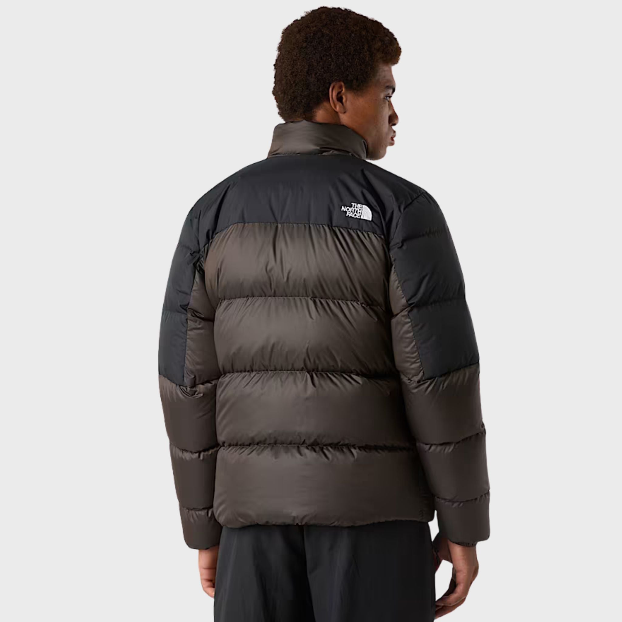 GIUBBINO Marrone The North Face