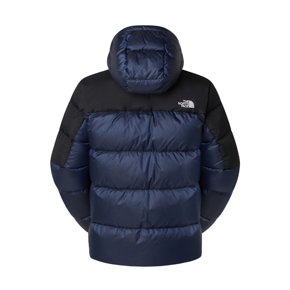 GIUBBINO Blu The North Face