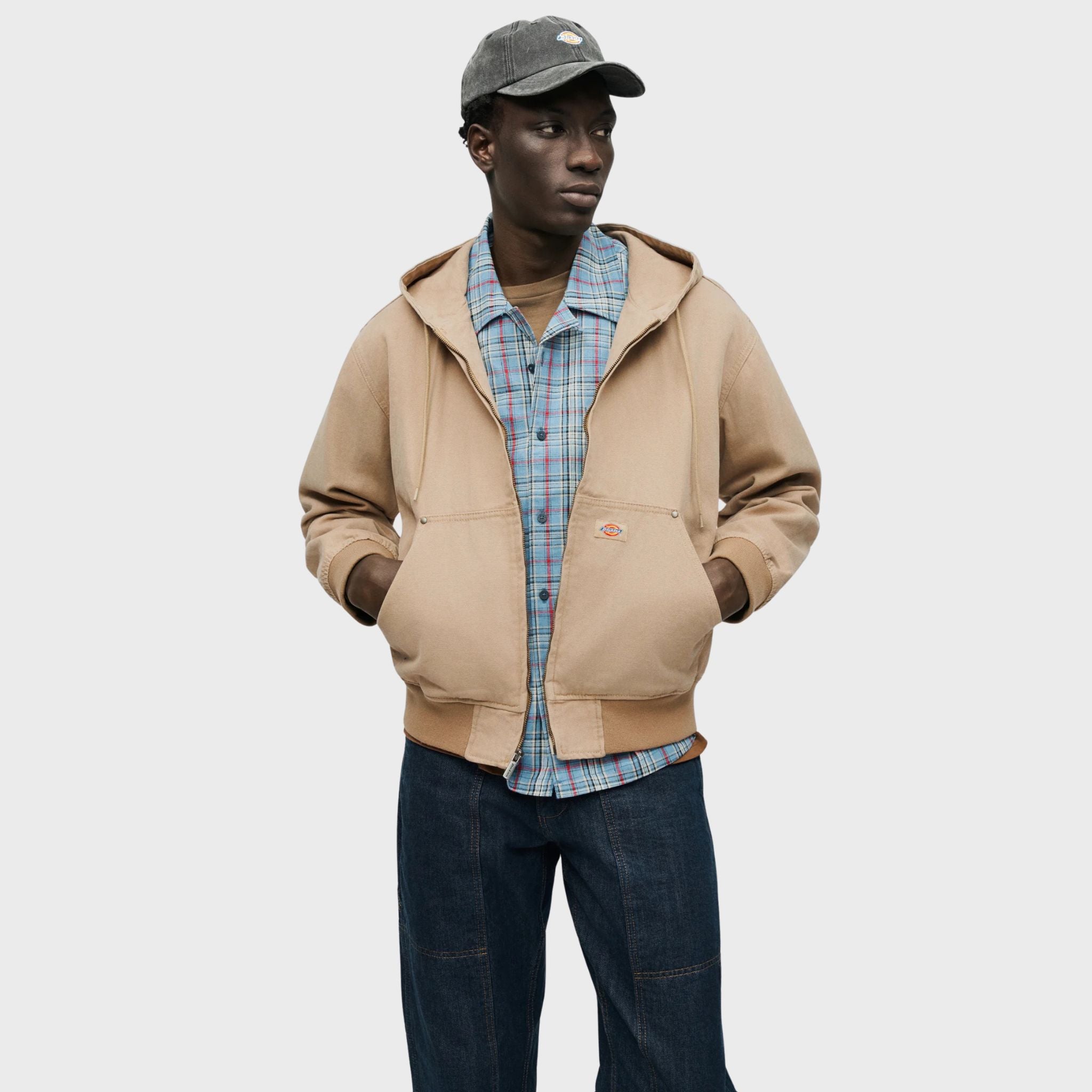 GIUBBINO Sabbia Dickies