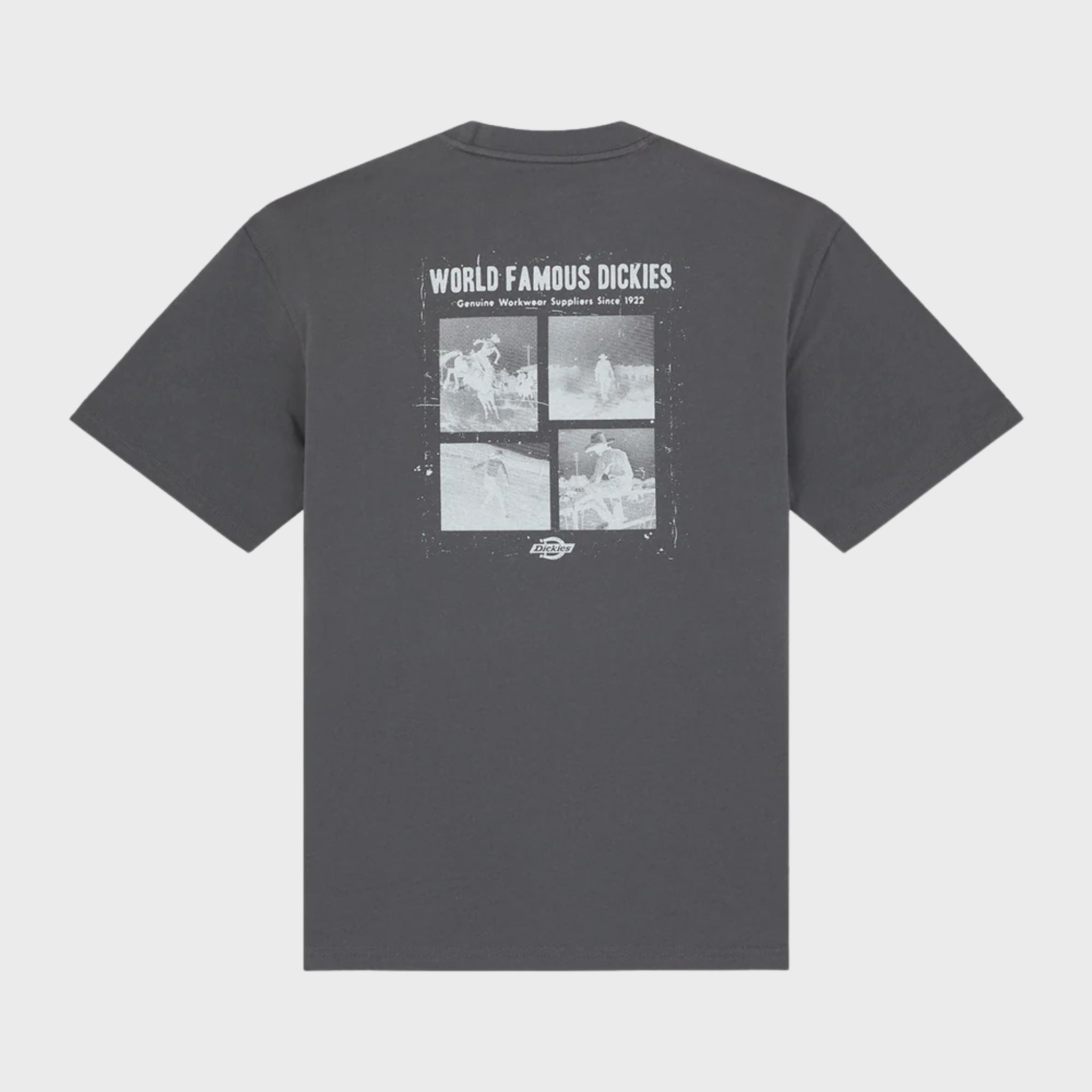T-SHIRT Grigio Dickies