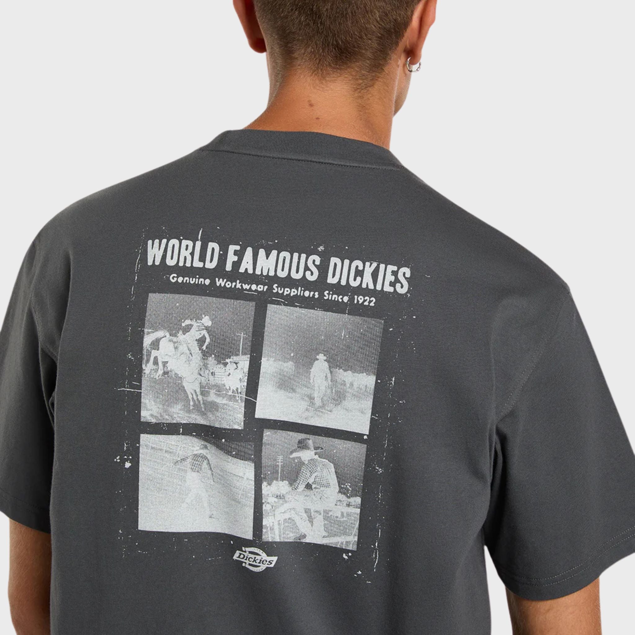 T-SHIRT Grigio Dickies