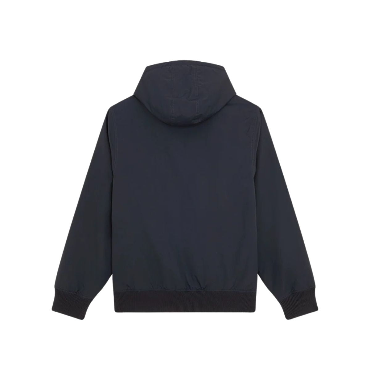 GIUBBINO Blu Dickies