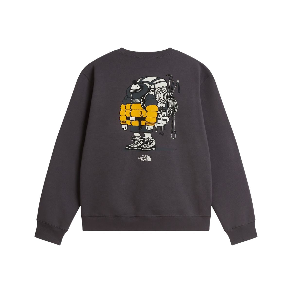 FELPA Grigio Antracite The North Face