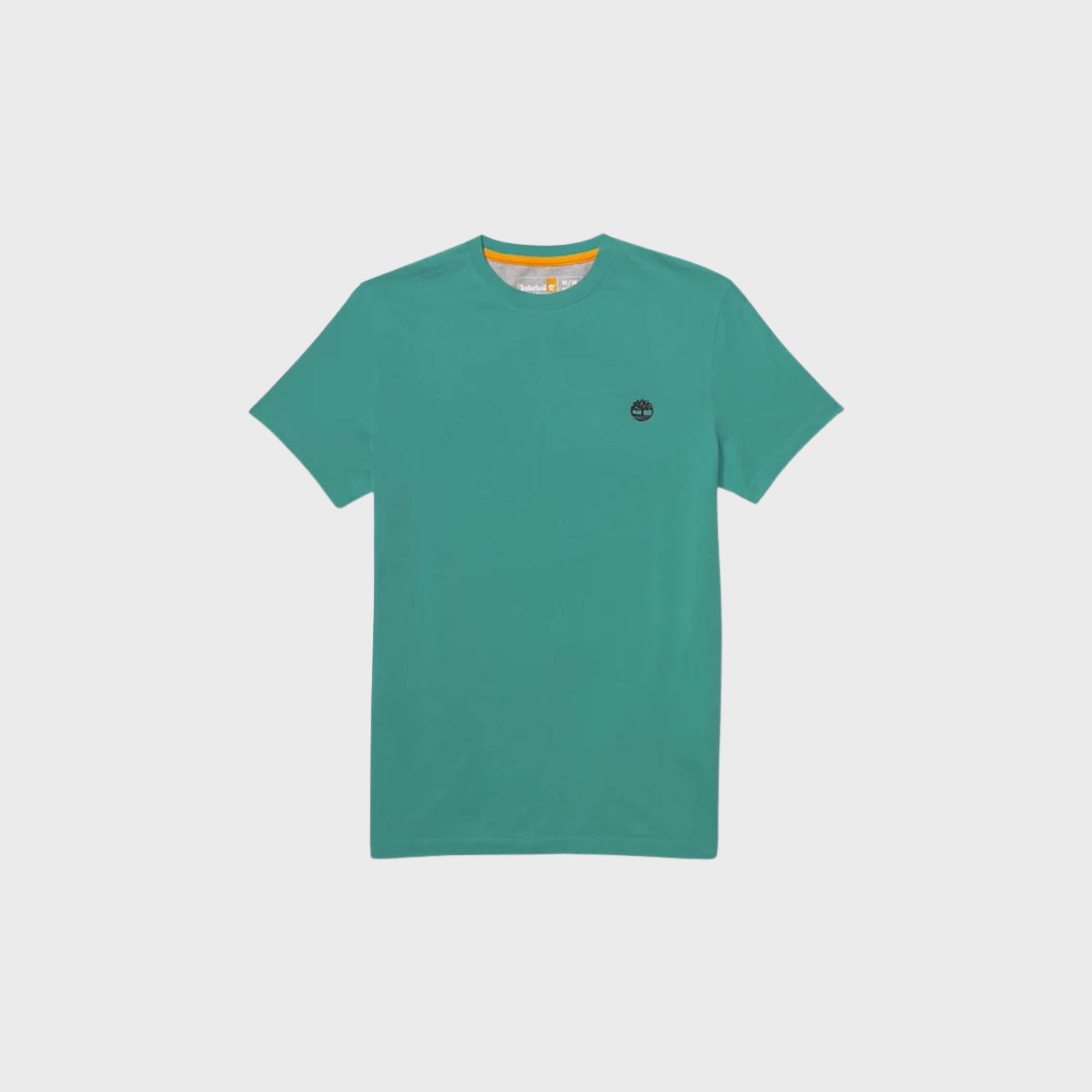 T-SHIRT Verde Acqua Timberland