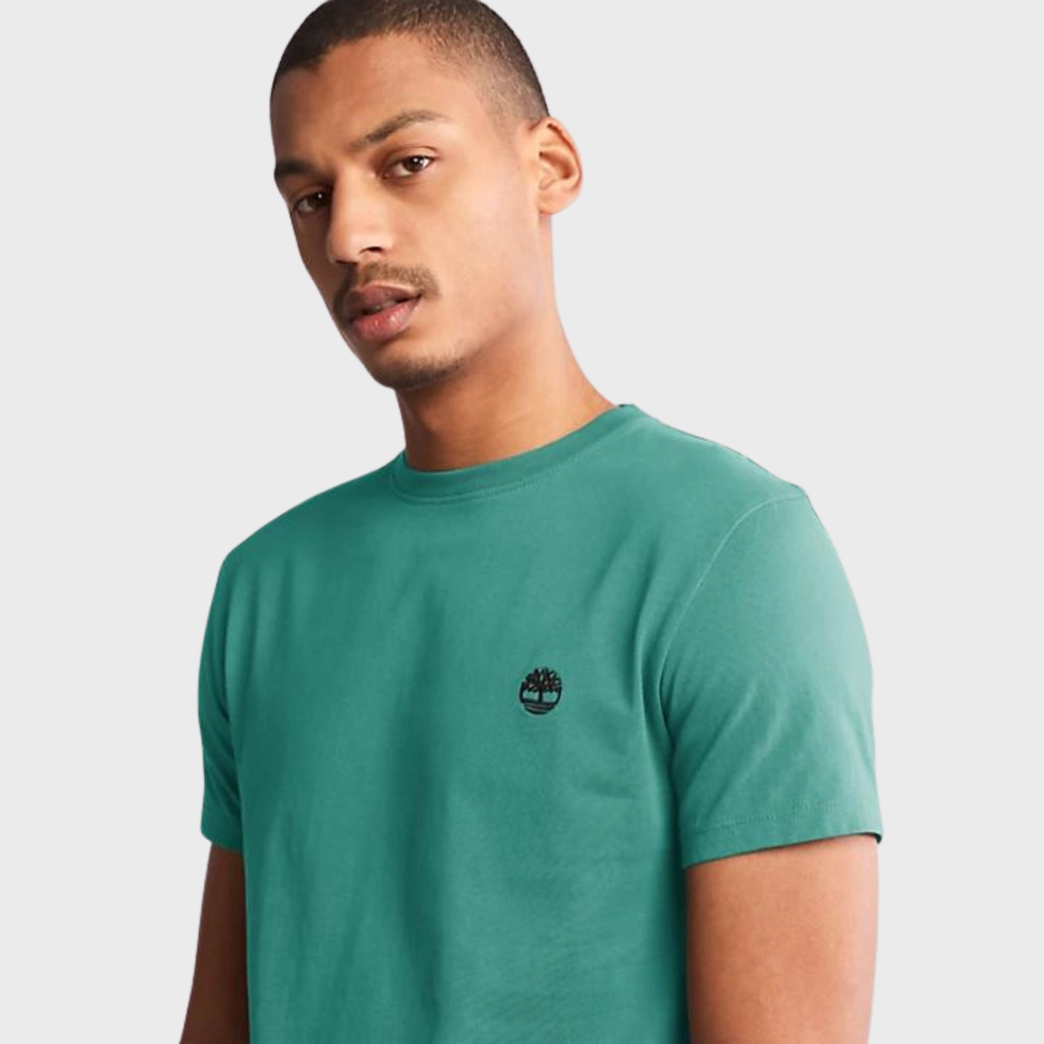 T-SHIRT Verde Acqua Timberland