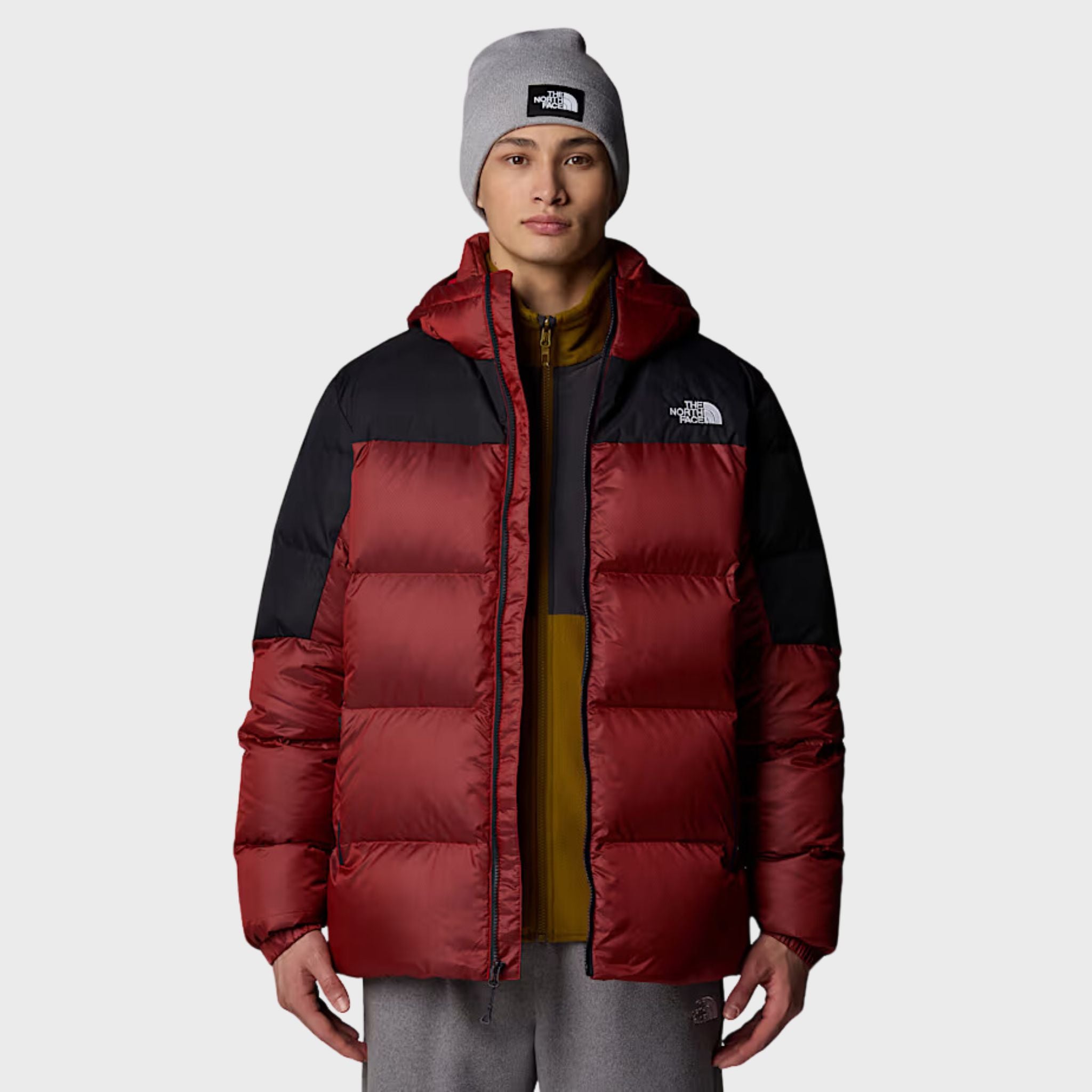 GIUBBINO Bordeaux The North Face