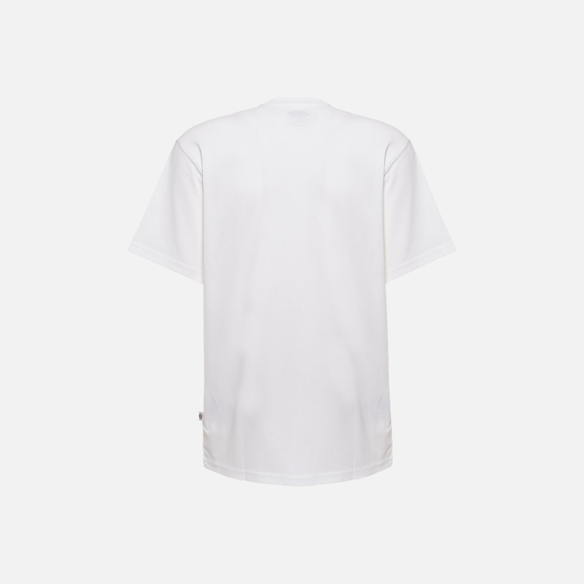 T-SHIRT Bianco Dickies