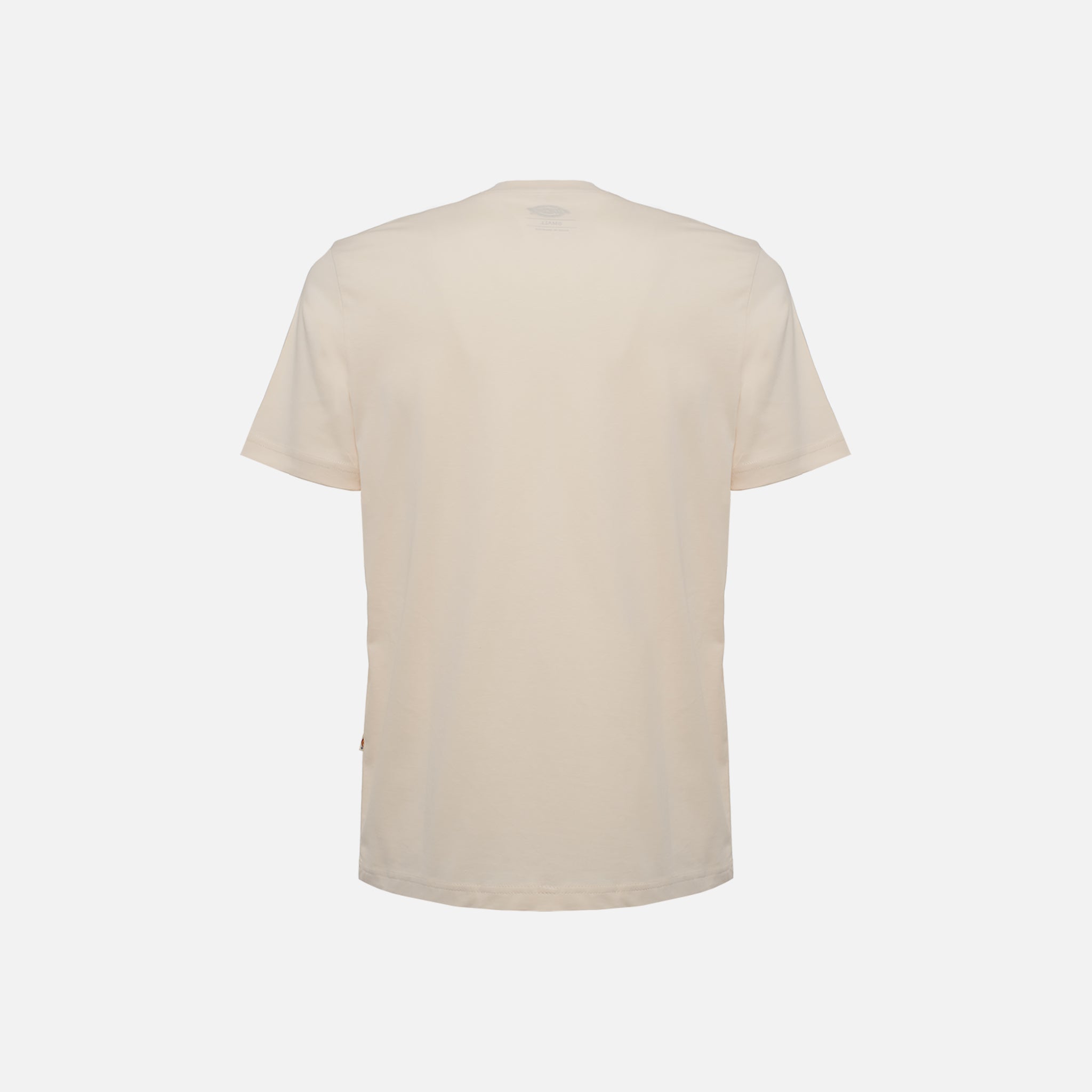 T-SHIRT Bianco Dickies