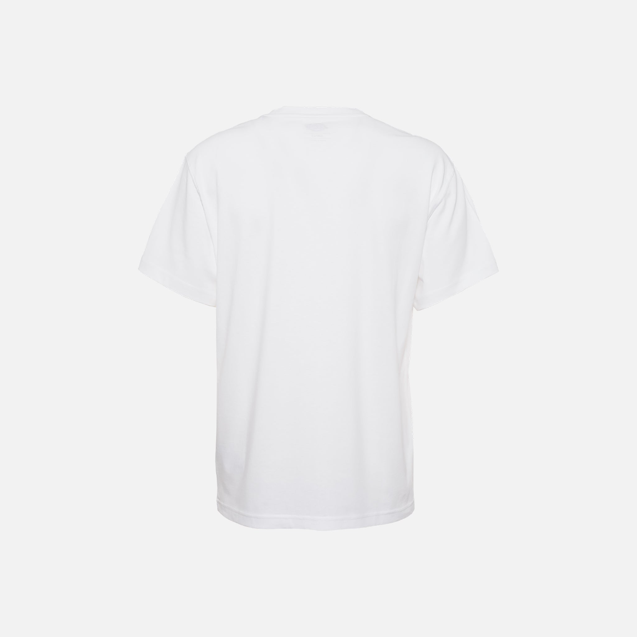 T-SHIRT Bianco Dickies